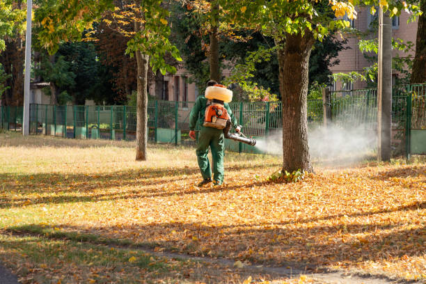Best Local Pest Control Services  in Moscow, PA